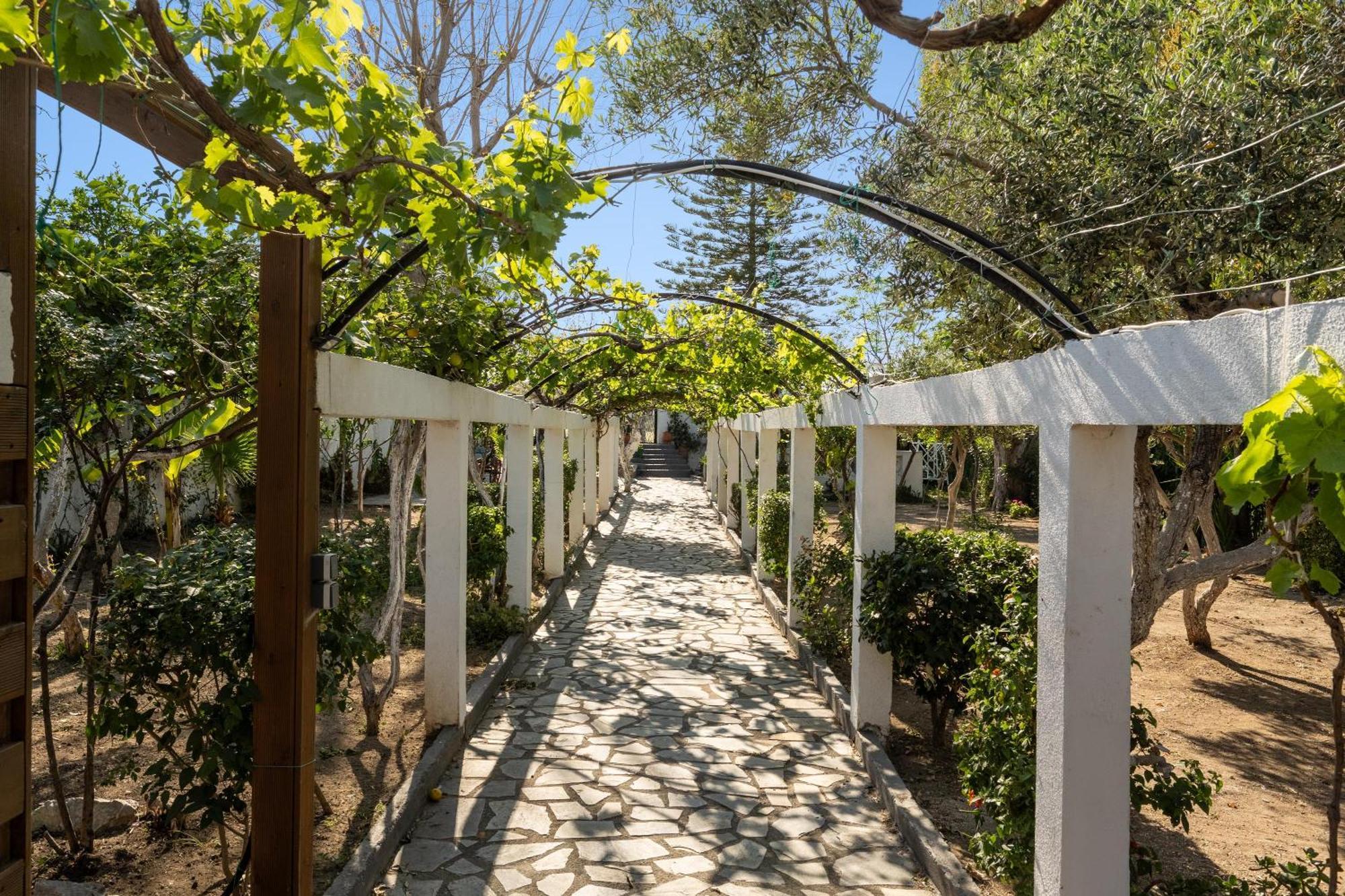 Ariadni Apartments Faliraki Buitenkant foto